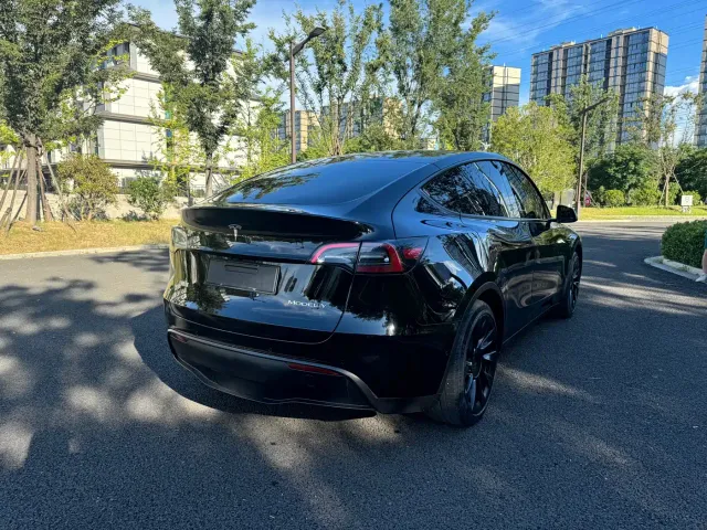 Tesla Model Y — Фото автомобиля 7