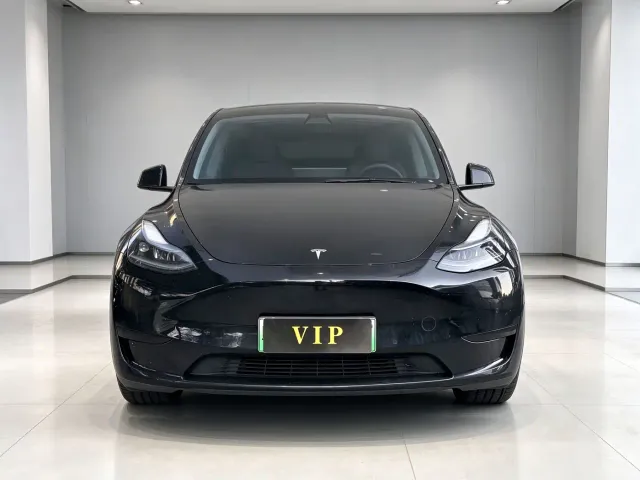 Tesla Model Y — Фото автомобиля 2