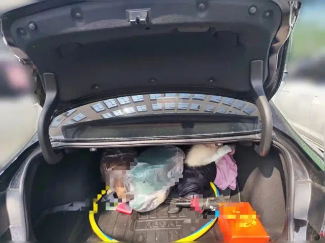 Buick Regal — Фото автомобиля 9