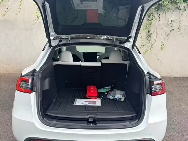 Tesla Model Y — Фото автомобиля 7
