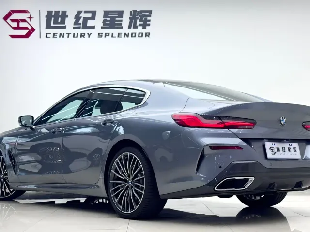 BMW 8 Series — Фото автомобиля 4