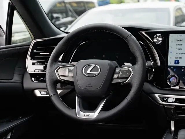 Lexus RX — Фото автомобиля 14