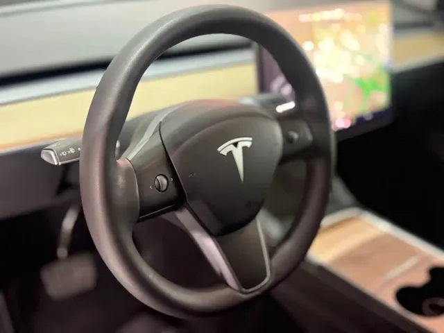 Tesla Model Y — Фото автомобиля 10
