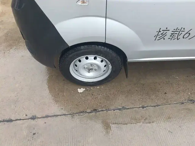 Jinbei Little Sea Lion X30 — Фото автомобиля 22