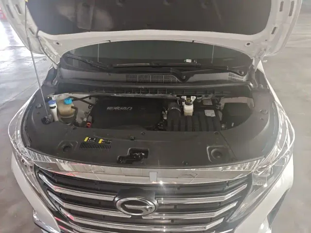 GAC Trumpchi M8 — Фото автомобиля 19