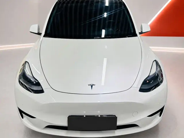 Tesla Model Y — Фото автомобиля 2