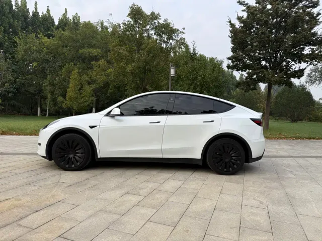 Tesla Model Y — Фото автомобиля 5