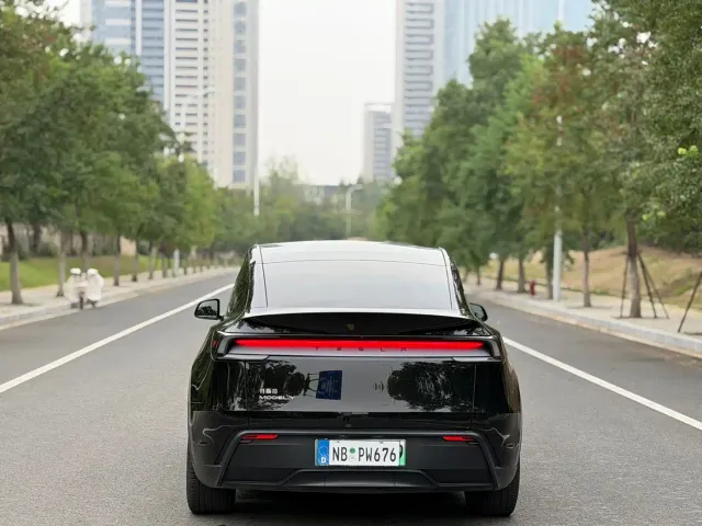 Tesla Model Y — Фото автомобиля 12