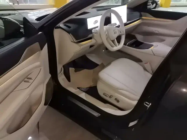 Buick Electra L7 — Фото автомобиля 15