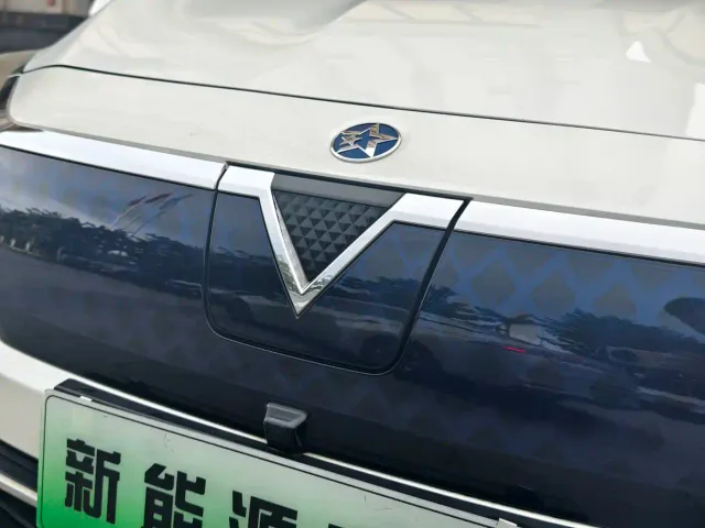 Venucia D60 EV — Фото автомобиля 15