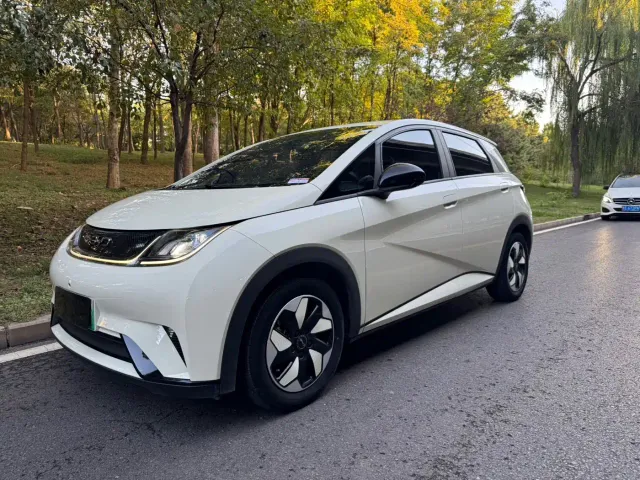 BYD Dolphin — Фото автомобиля 3