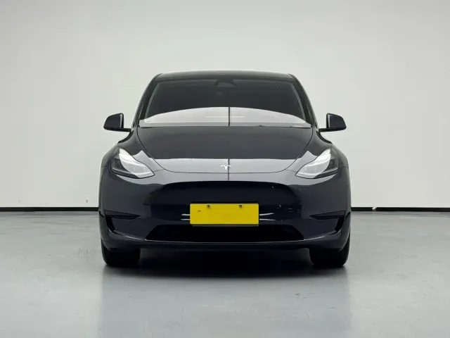 Tesla Model Y — Фото автомобиля 2