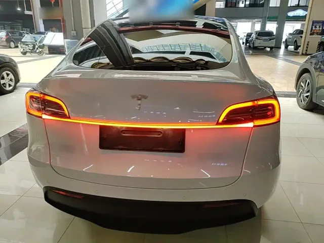 Tesla Model Y — Фото автомобиля 5