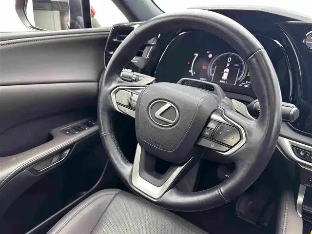 Lexus Lexus RX New Energy 2023 450h+ 4WD Enjoyment — Фото автомобиля 9