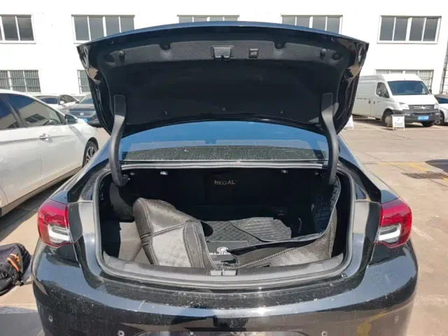 Buick Regal — Фото автомобиля 18