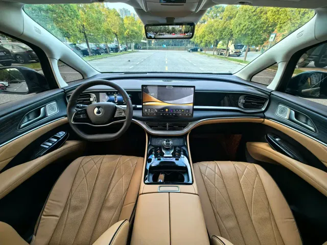 Denza Denza D9 2024 DM-i 980 AWD Prestige — Фото автомобиля 16
