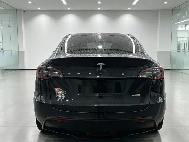 Tesla Model Y — Фото автомобиля 5