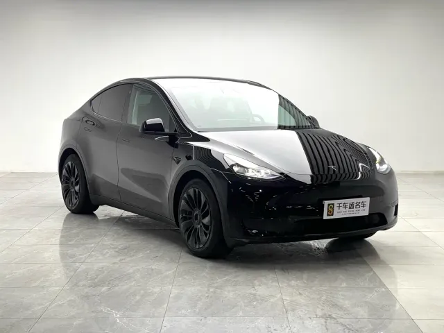Tesla Model Y — Фото автомобиля 3