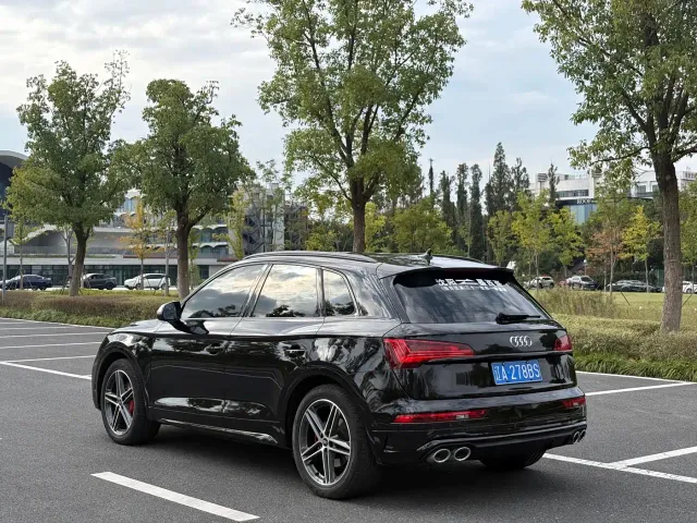 Audi SQ5 — Фото автомобиля 6