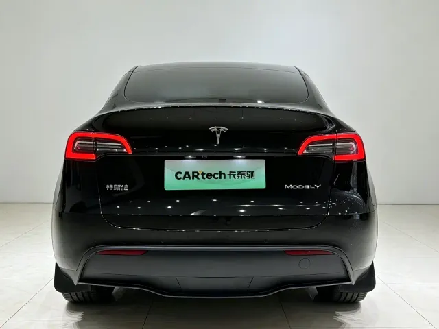 Tesla Model Y — Фото автомобиля 17