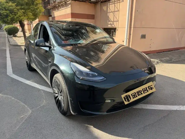 Tesla Model Y — Фото автомобиля 3