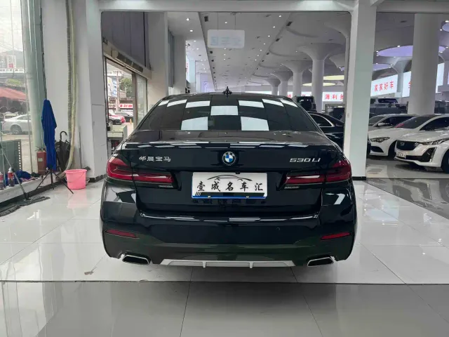 BMW 5 Series — Фото автомобиля 8