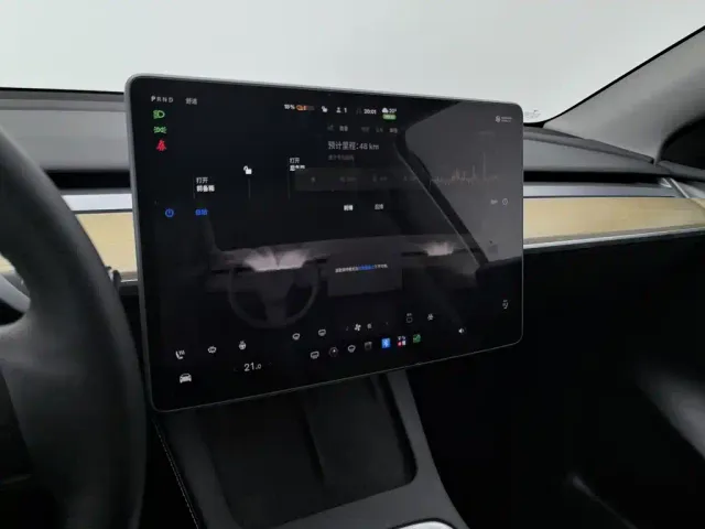 Tesla Model Y — Фото автомобиля 12
