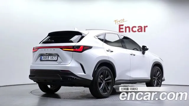 Lexus NX 2nd Gen — Фото автомобиля 2