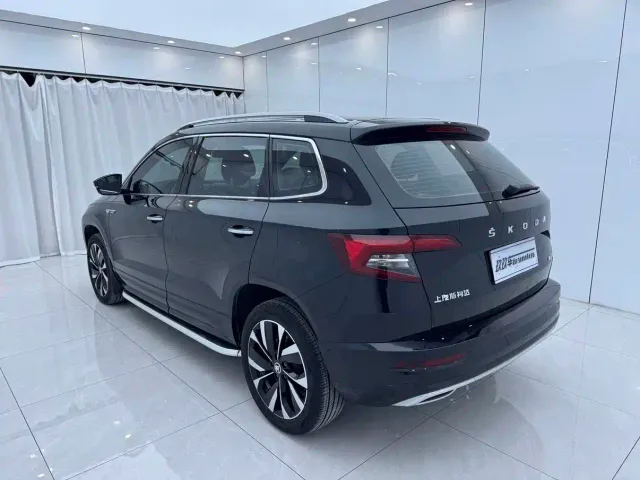 Skoda Karoq — Фото автомобиля 6