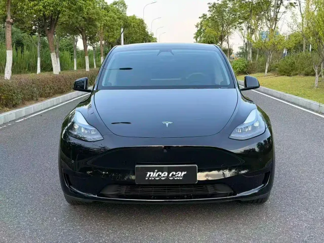Tesla Model Y — Фото автомобиля 2