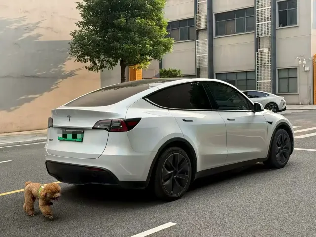 Tesla Model Y 2022 Facelift Rear-Wheel Drive Version — Фото автомобиля 2