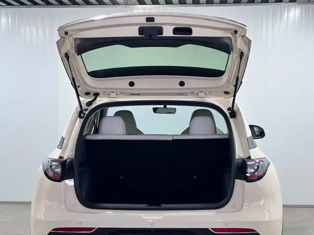 Geely Starry Wish — Фото автомобиля 16