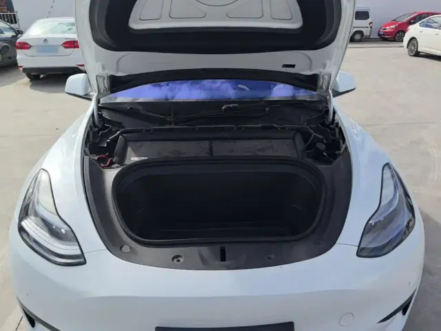 Tesla Model Y — Фото автомобиля 19