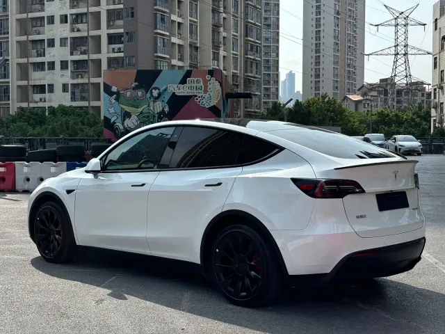 Tesla Model Y — Фото автомобиля 6