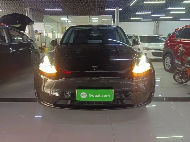 Tesla Model Y — Фото автомобиля 2