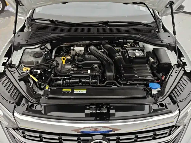 Volkswagen Sagitar — Фото автомобиля 10