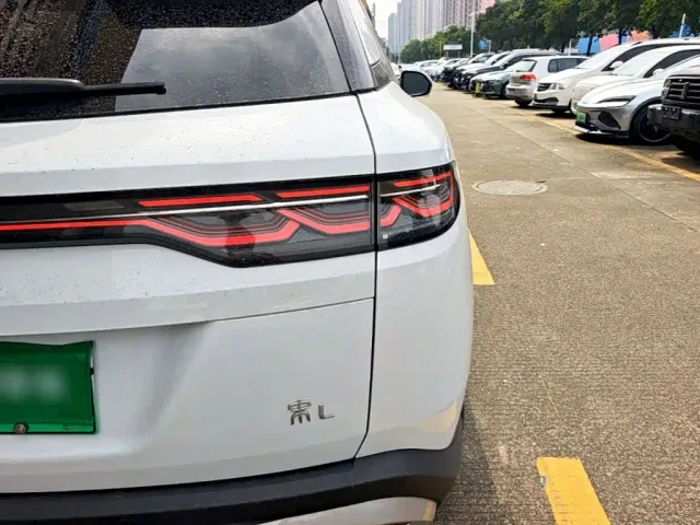 BYD Song L DM-i 2024 160km Excellence — Фото автомобиля 7
