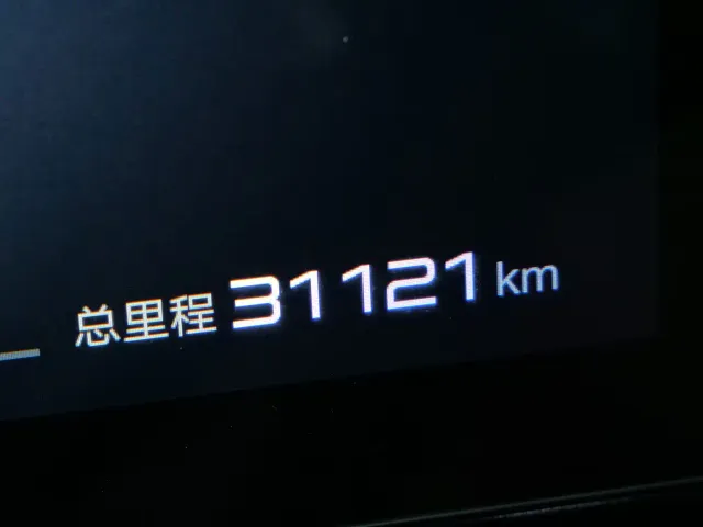 BYD FangChengBao Leopard 8 — Фото автомобиля 13