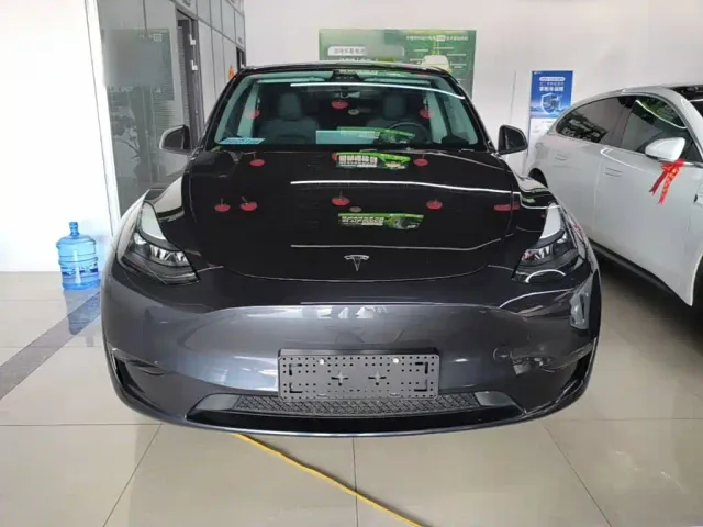 Tesla Model Y — Фото автомобиля 2