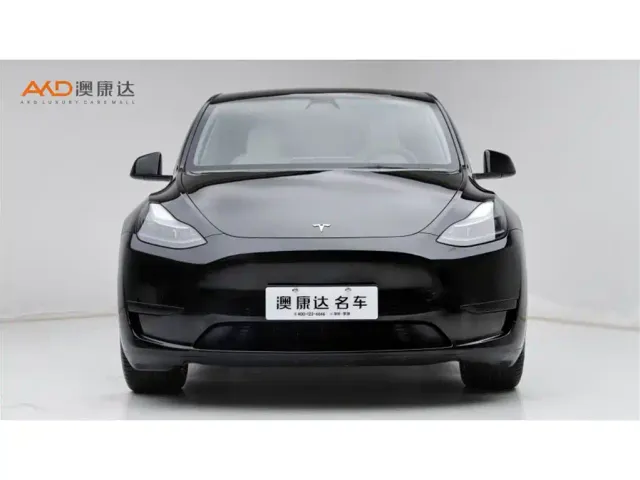 Tesla Model Y — Фото автомобиля 2