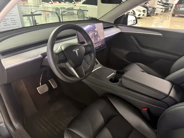 Tesla Model Y — Фото автомобиля 4