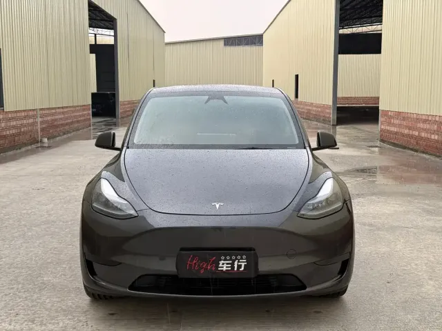 Tesla Model Y — Фото автомобиля 2