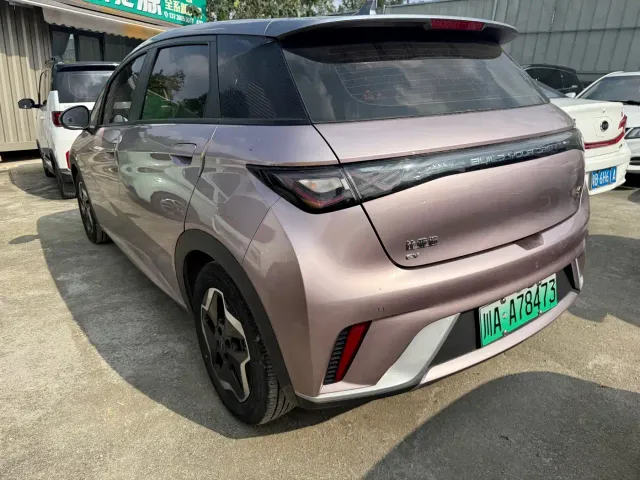 BYD Dolphin — Фото автомобиля 6