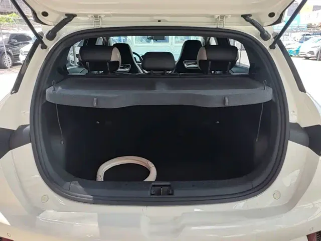 BYD Dolphin — Фото автомобиля 14