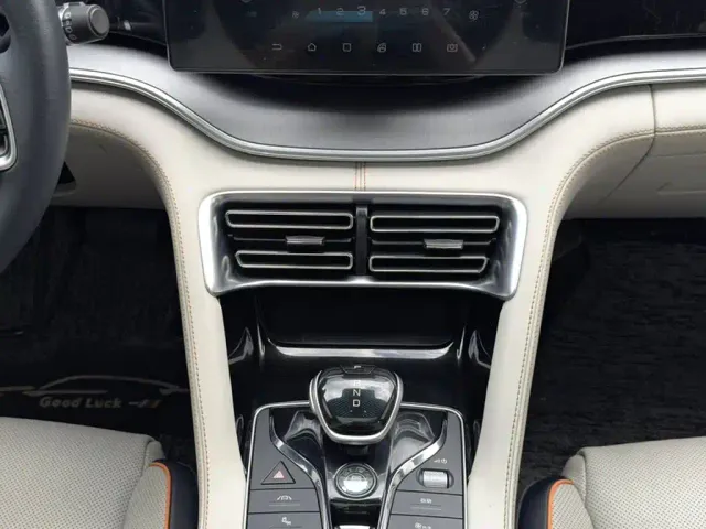 BYD Song PLUS — Фото автомобиля 21