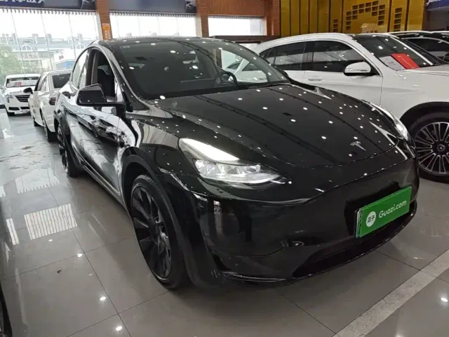Tesla Model Y — Фото автомобиля 3