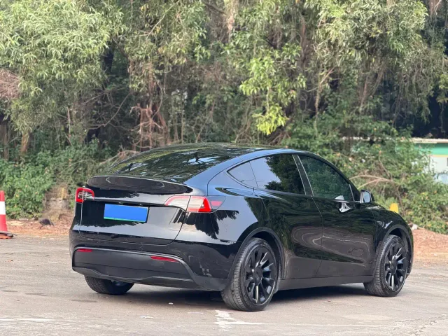 Tesla Model Y — Фото автомобиля 11