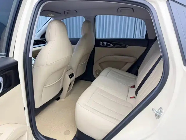 Geely Starry Wish — Фото автомобиля 9
