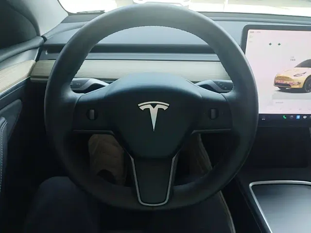 Tesla Model Y — Фото автомобиля 10