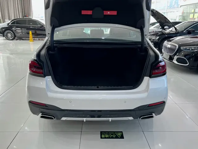 BMW 5 Series — Фото автомобиля 21